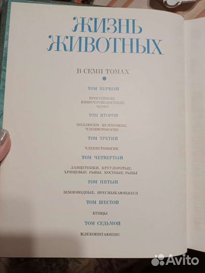 Мир животных