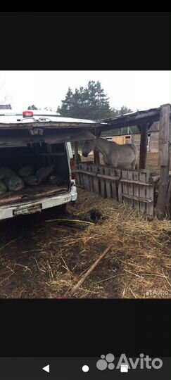 Навоз перегной в мешках