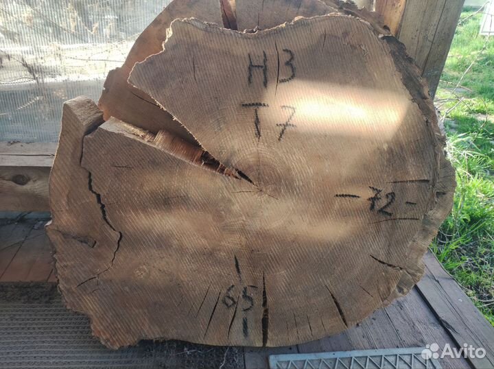 Спилы из дуба, карагача