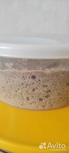 Ржаная закваска для хлеба