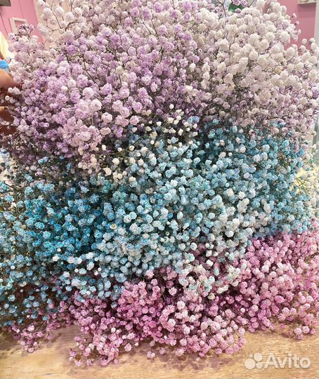 Букет из гипсофилы