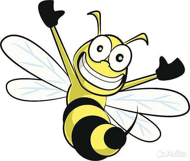 Уничтожение Комаров, Клещей, Ос, Мух