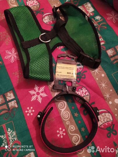 Шлейка, комбез. Миски на подставке для собаки и Пе