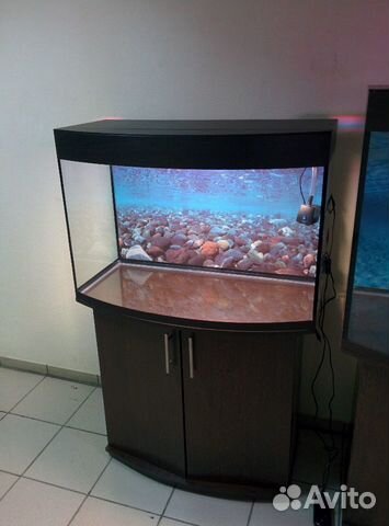 Аквариум 200 полукруглый, свет, биофильтр, тумба