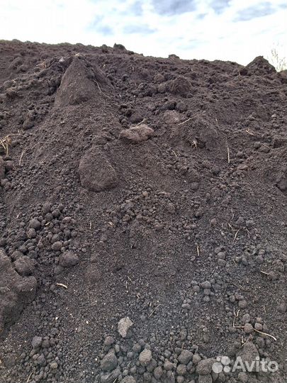 Земля cеpaя (вeрхний слой)