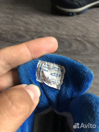 Зимние сапоги Котофей