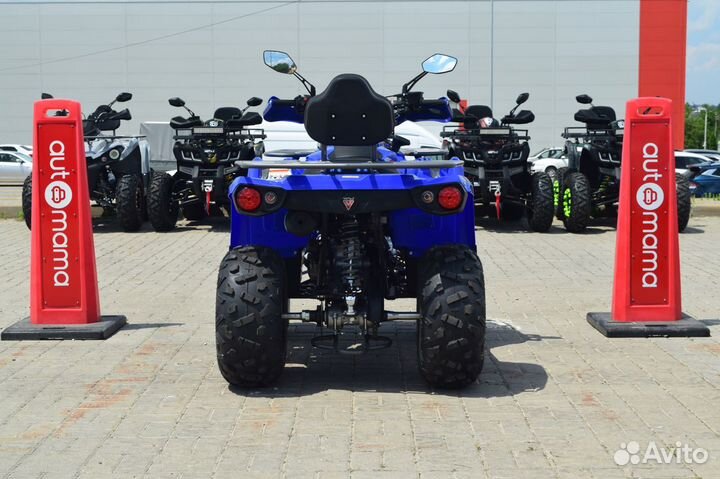 Квадроцикл Motax ATV Grizlik 250 Ultra (Гризлик)