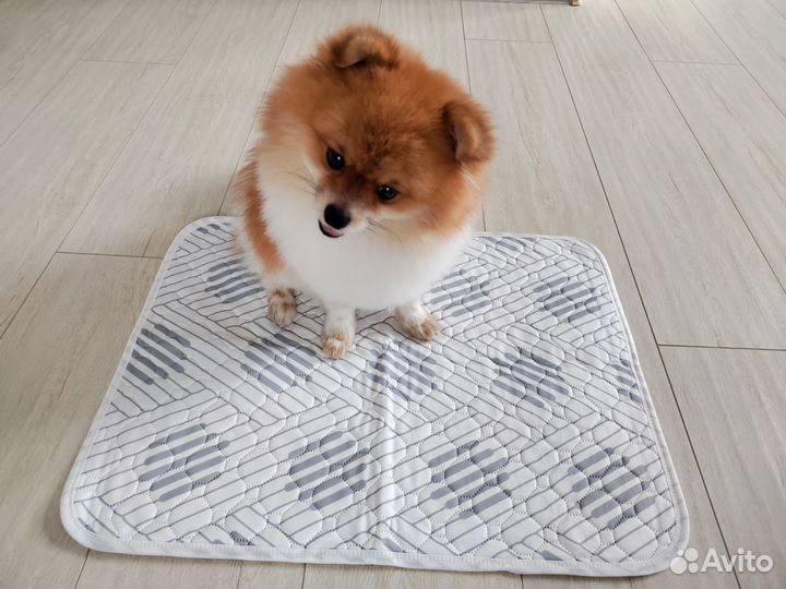 Пеленка многоразовая впитывающая для животных