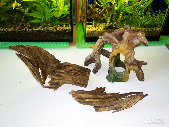 Рыбки гуппи и растительность с аквариумом