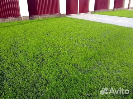 Благоустройство участка под ключ