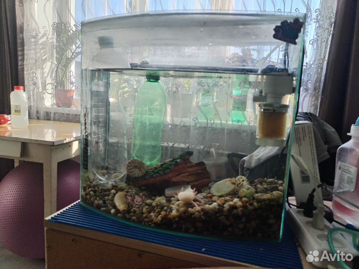 Аквариум