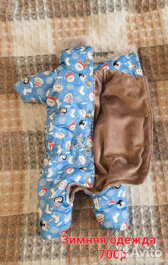 Одежда для собак, вкусняшки