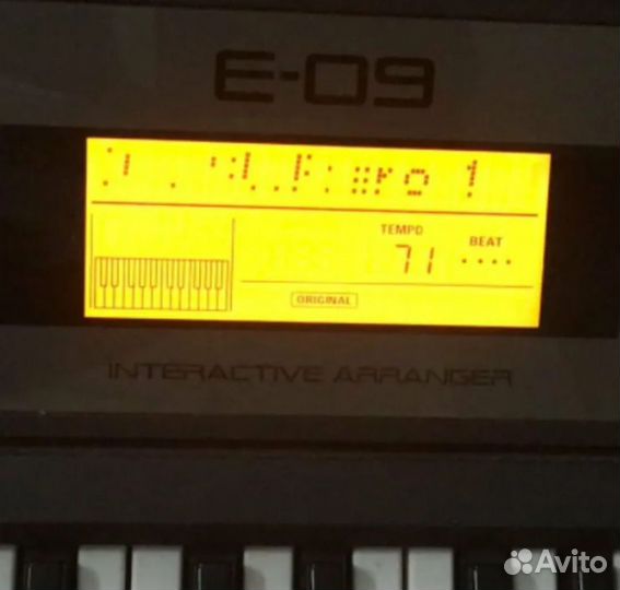 Синтезатор Roland E-09