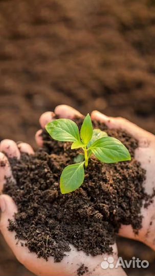 Удобрение компост навоз земля плодородная