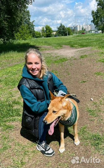 Собака в семью заберите малыша