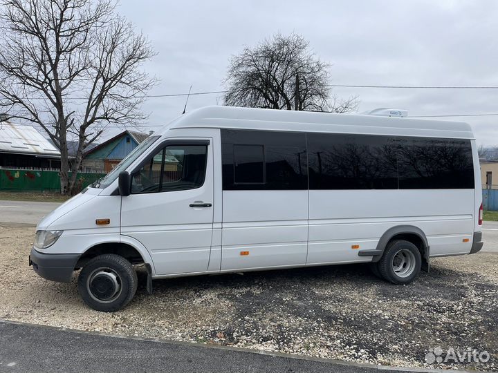 Заказ микроавтобуса, Автобуса