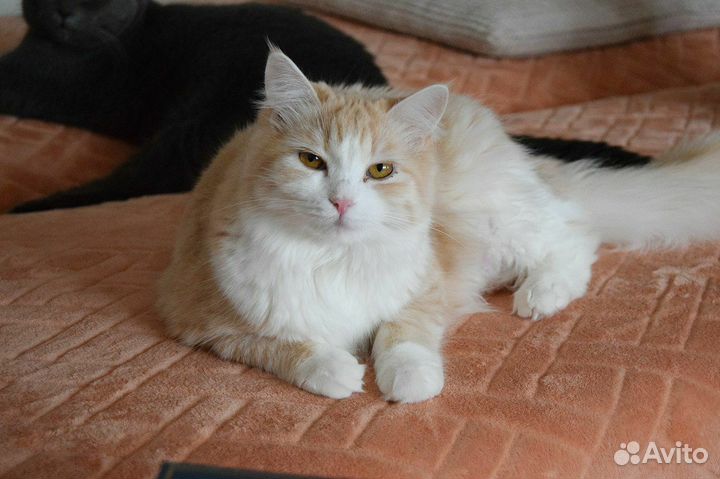 Карамелька