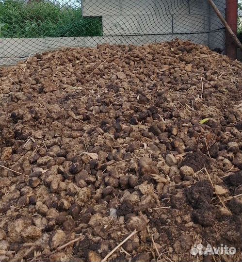 Отборный конский навоз