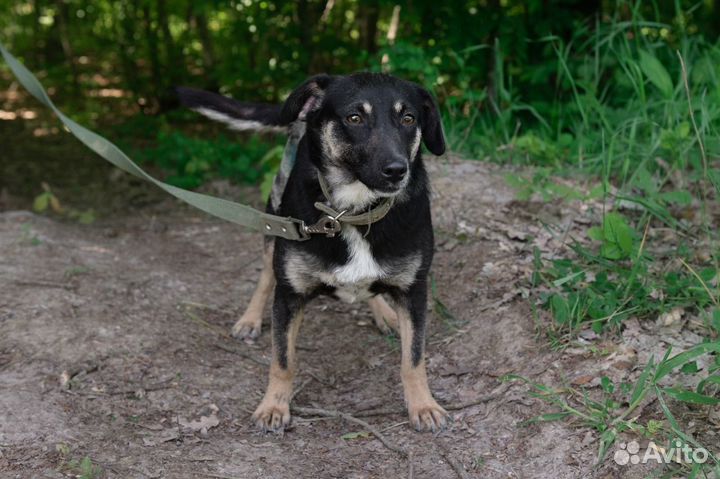 Мафальда, стерилизована