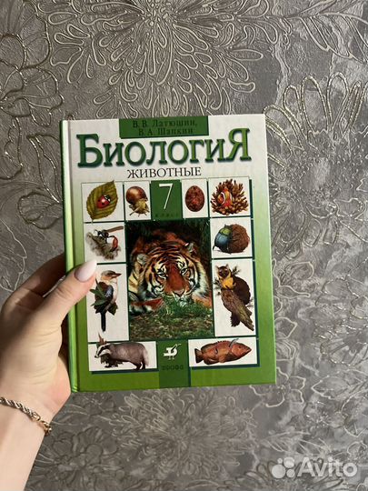 Учебники информ, природоведения, биолог, алгебр