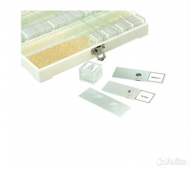 Набор готовых микропрепаратов Микромед №80