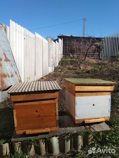 Продаю новые ульи, магазины с сушью