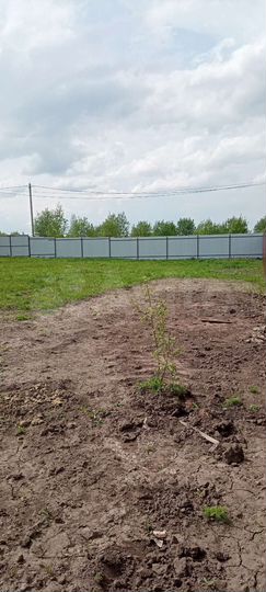 Участок 10 сот. (ИЖС)