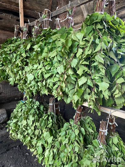 Веники банные (берёза/дуб)