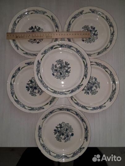 Тарелки зик Ежевика СССР