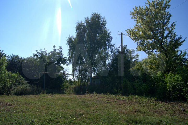 Участок 50 сот. (ИЖС)