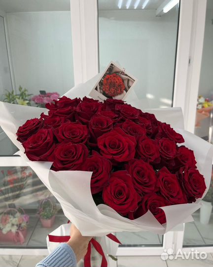 Розы эквадор