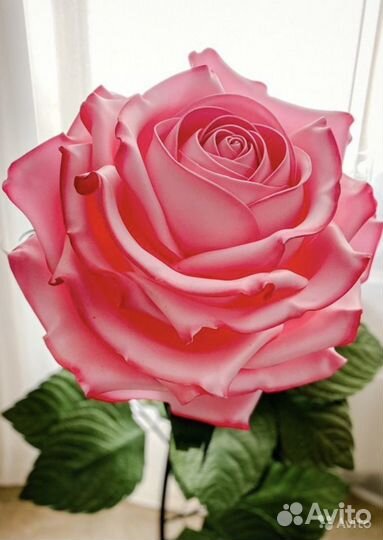 Роза большая ростовая