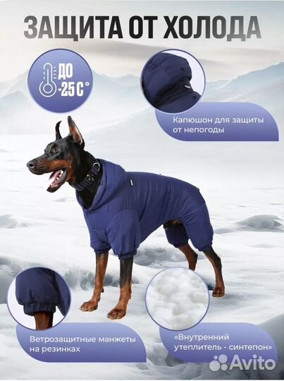 Одежда для крупных собак