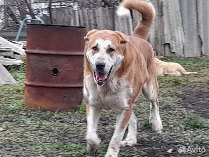 Кабель на вязку