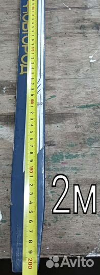 Беговые лыжи