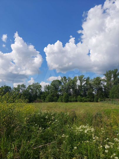 Участок 15 сот. (ИЖС)