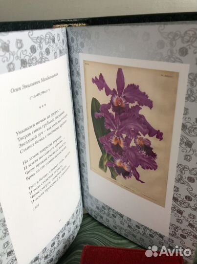 Серебряный век русской поэзии