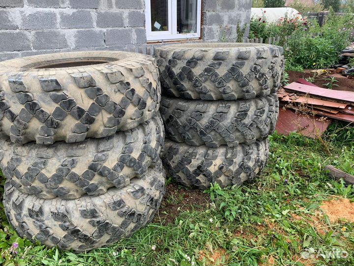Шины И-П184 камаз 6 штук