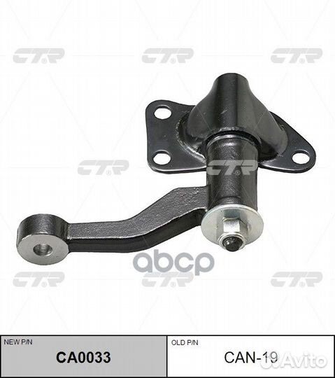 CA0033 Рычаг маятниковый CAN19 CTR