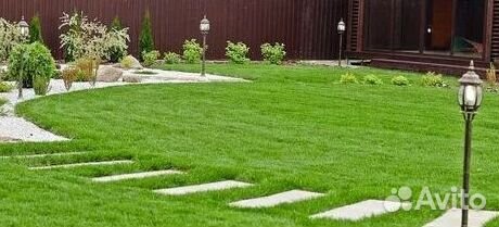 Продажа Рулонного газона