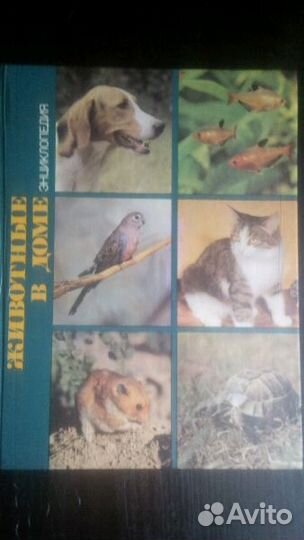 Энциклопедия 