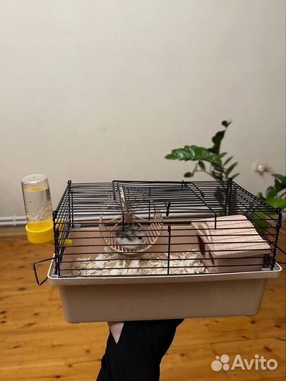 Клетка для грызунов хомяков