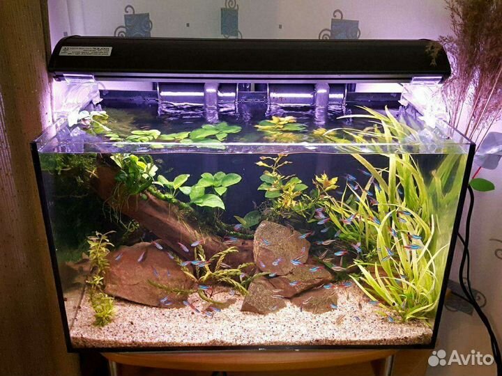 Аквариум на заказ