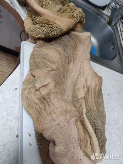 Мясо для собак рубец