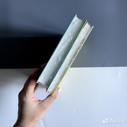 Иерусалимский дневник 1 и 2. Игорь Губерман