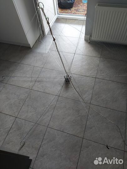 Малявочник зимний