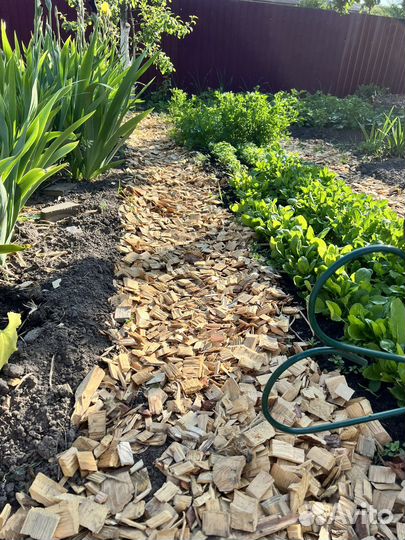 Щепа для мульчирования