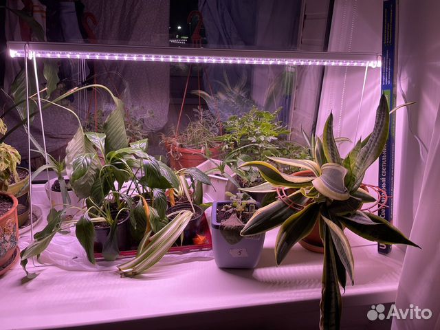 Светильник для растений объявление продам