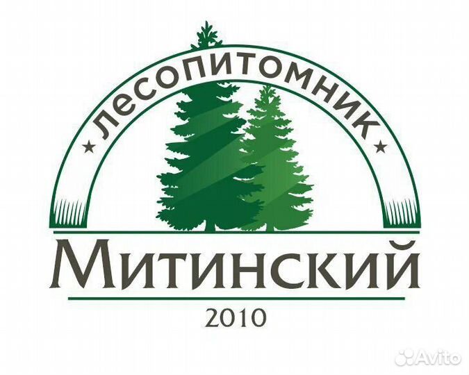 Разнорабочие на лесопитомник