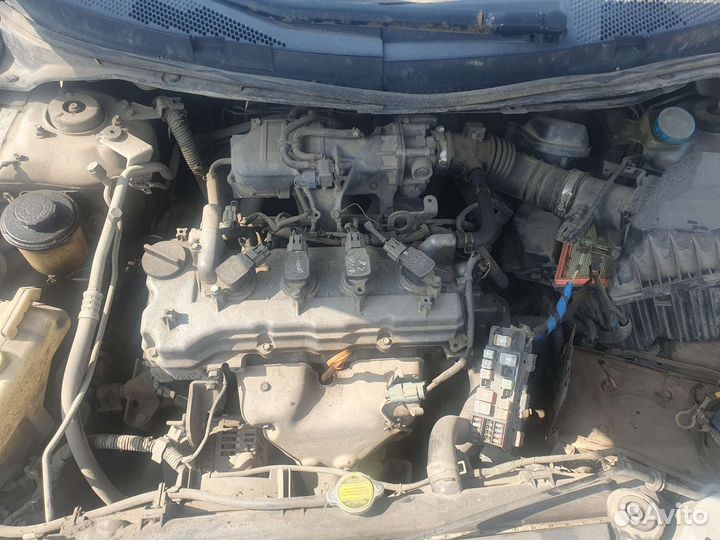 В разборе nissan primera P12,QG16 2002г. МКПП